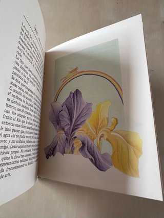 Lote dos libritos del significado de las flores