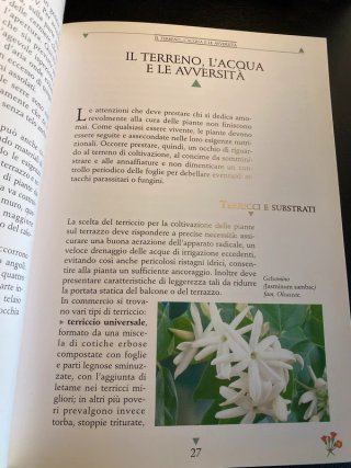 Manuale Balconi e Terrazzi