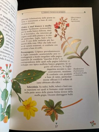 Manuale Balconi e Terrazzi