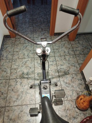 Bicicleta Estática Vintage BH
