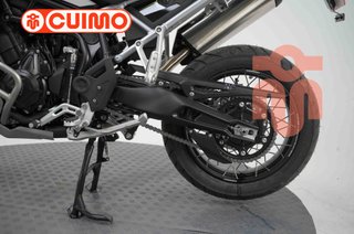 TRIUMPH TIGER 900 RALLY PRO