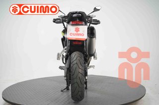 TRIUMPH TIGER 900 RALLY PRO