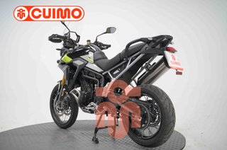 TRIUMPH TIGER 900 RALLY PRO