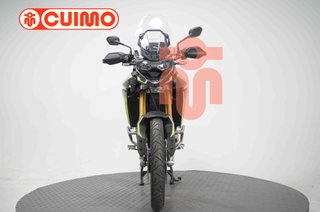 TRIUMPH TIGER 900 RALLY PRO