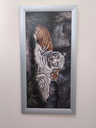 Cuadro de tigres blancos y naranjas