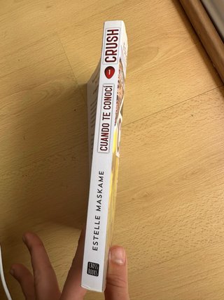 Libro Crush: Cuando te conocí de Estelle Maskame.
