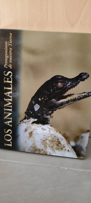COLECCIONES COMPLETAS DE LIBROS NUEVOS