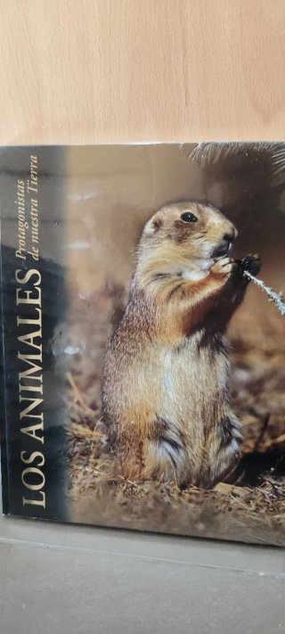 COLECCIONES COMPLETAS DE LIBROS NUEVOS
