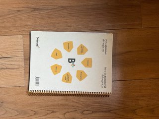 Llengua Catalana i Literatura 2
