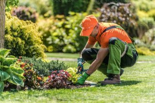 Servicios de jardinería