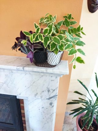 Cesta metálica decorativa para macetas