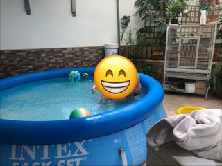 Piscina inflable Intex azul