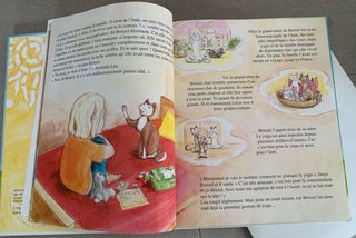 Lote de libros infantiles en francés