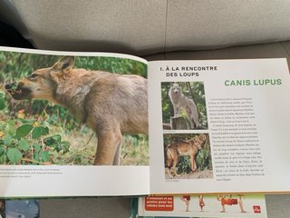 Lote de libros infantiles en francés