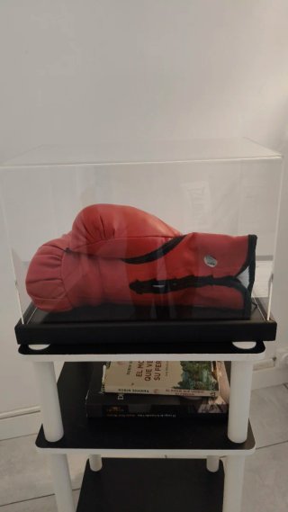Guante Boxeo Firmado Mike Tyson Everlast