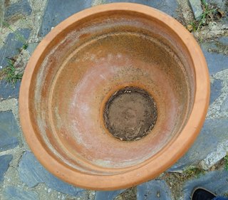 Macetas terracota jardín con platos inferiores