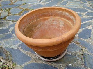 Macetas terracota jardín con platos inferiores
