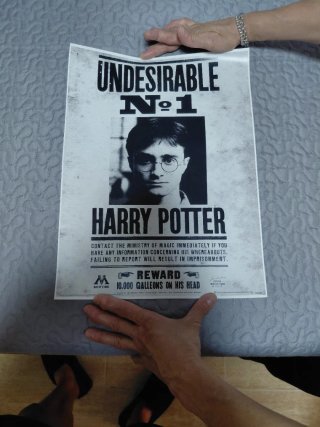 Póster Harry Potter Indeseable N.º 1