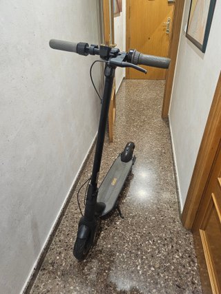Patinete Ninebot G30 Max
