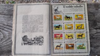 Antiguo álbum Zoología años 50
