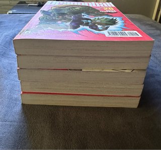Dragonball Perfect Edition Lotto
