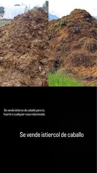 Estiércol de caballo para huerto