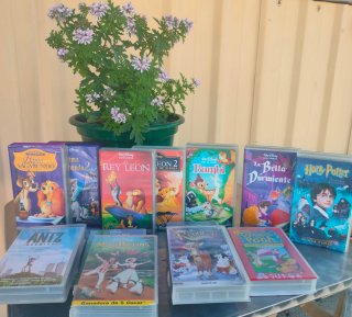 19 Cintas VHS Disney Clásicos y Más