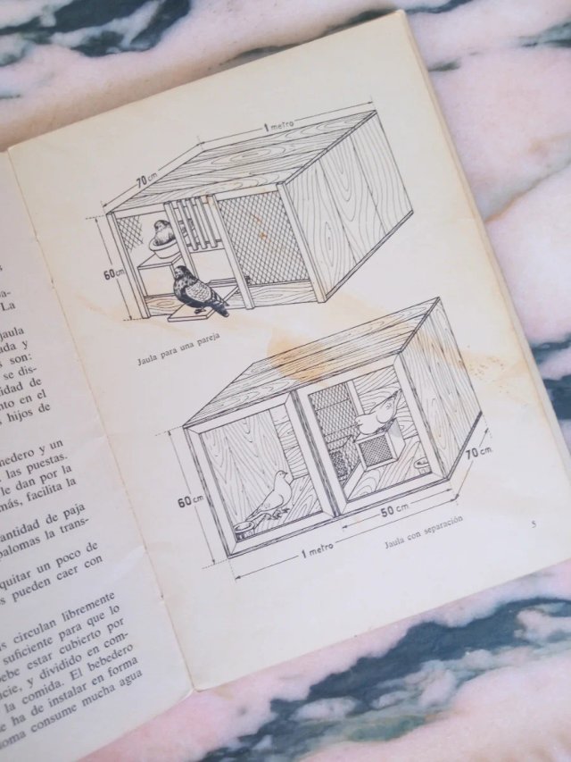 Libro palomas