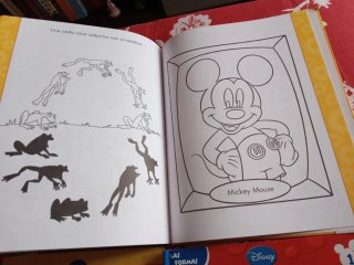 Lote 4 libros La casa de Mickey Mouse