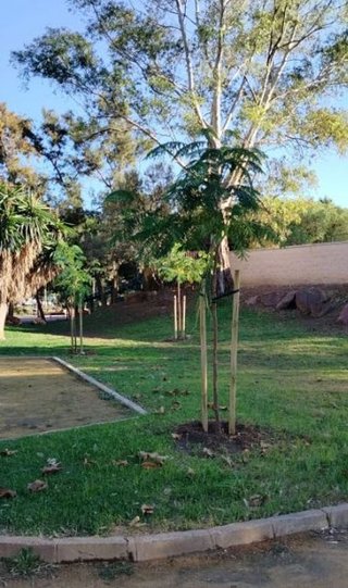 Piso en alquiler en El Candado - El Palo en Málaga