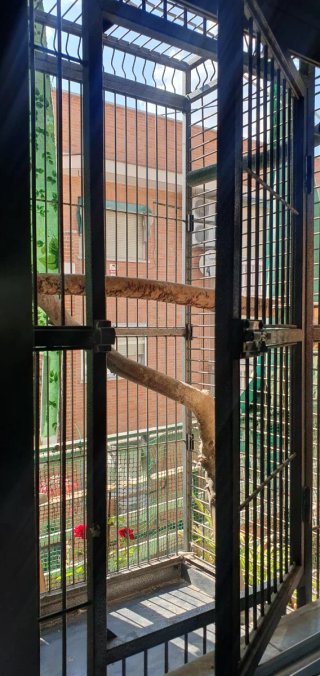 Jaula Loro Buen Estado Accesorios