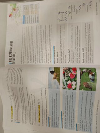 Proyecto: Para que las cosas ocurran - Biología...