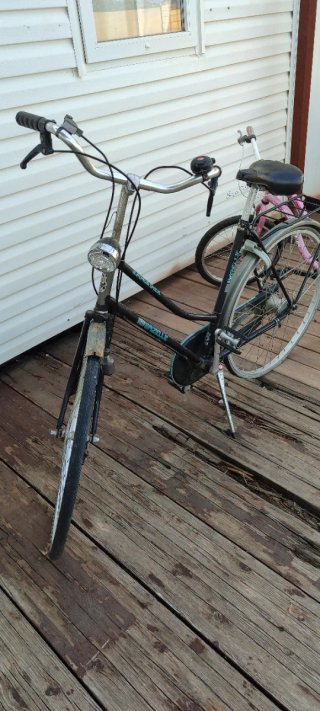 Bicicleta Gazelle Clásica