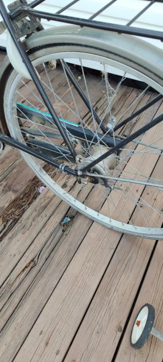 Bicicleta Gazelle Clásica