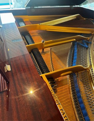 Piano de Cola Blüthner Modelo 10