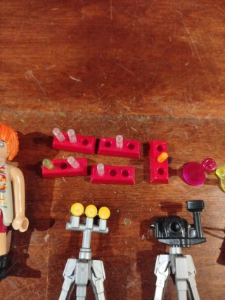 Playmobil Scienziata