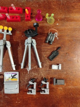 Playmobil Scienziata
