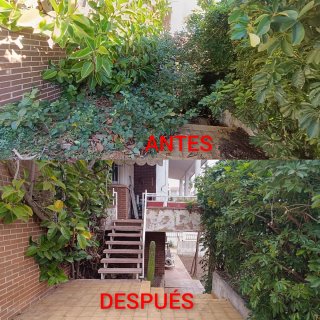 ⭐⭐⭐⭐⭐ JARDINERO AUTÓNOMO