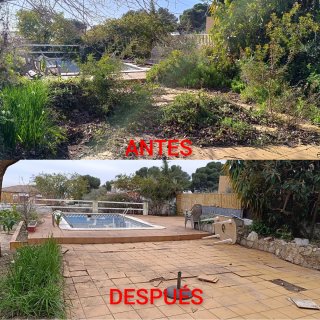 ⭐⭐⭐⭐⭐ JARDINERO AUTÓNOMO
