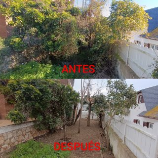 ⭐⭐⭐⭐⭐ JARDINERO AUTÓNOMO