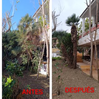 ⭐⭐⭐⭐⭐ JARDINERO AUTÓNOMO