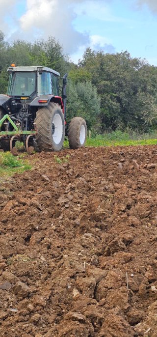 Tractor Massey Ferguson 8110