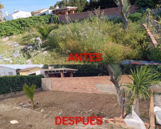 JARDINERO
