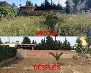 JARDINERO