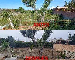 JARDINERO