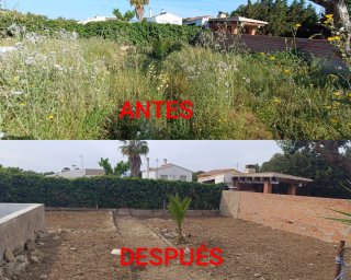 JARDINERO