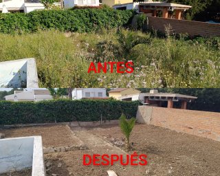 JARDINERO