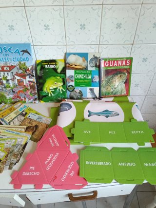 Libros y juegos educativos de animales+5 años