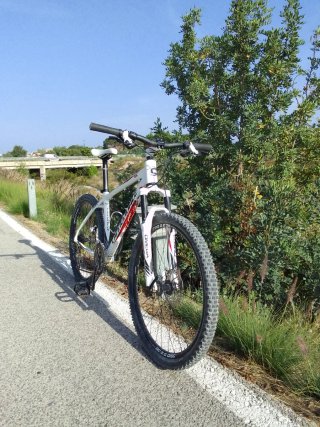 Bicicleta Cannondale Trail Blanca