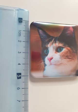 Imán de gato y notas